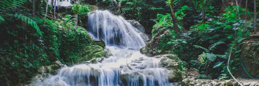 photography of waterfalls between trees